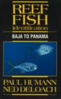 Image for Reef Fish Identification : Baja to Panama