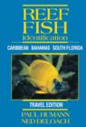 Image for Reef fish identification: Caribbean, Bahamas, South Florida