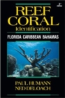 Image for Reef Coral Identification : Florida Caribbean Bahamas