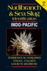 Image for Nudibranch &amp; sea slug identification  : Indo-Pacific