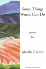 Image for Some Things Words Can Do [Includes A History of Small Life on a Windy Planet, orig. pub. in 1993]