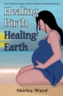 Image for Healing Birth Healing Earth : A Journey Through Pre- And Perinatal Psychology