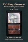 Image for Falling stones  : the spirit autobiography of S.M. Jones