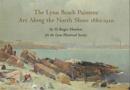 Image for Lynne Beach Painters : Art Along the North Shore, 1880-1920