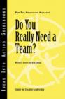 Image for Do You Really Need a Team?