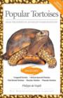Image for Popular tortoises