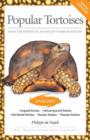 Image for Popular Tortoises