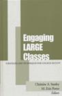 Image for Engaging Large Classes