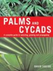 Image for Palms and Cycads
