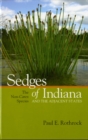 Image for Sedges of Indiana and the Adjacent States : The Non-Carex Species