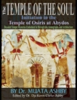 Image for Temple of the Soul Initiation Philosophy in the Temple of Osiris at Abydos : Decoded Temple Mysteries Translations of Temple Inscriptions and Walking Path through The Temple Mysteries, Iconography and