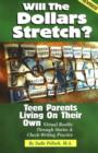 Image for Will the Dollars Stretch? : Teen Parents Living on Their Own