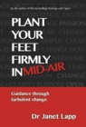 Image for Plant your feet firmly in mid-air: guidance through turbulent change