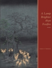 Image for A lamp brighter than foxfire: poems
