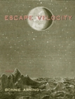 Image for Escape velocity: poems