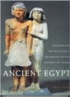 Image for Ancient Egypt  : treasures from the collection of the Oriental Institute
