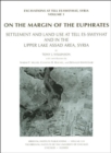 Image for On the Margin of the Euphrates : Settlement and Land Use at Tell es-Sweyhat and in the Upper Tabqa Area, Syria