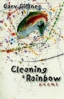 Image for Cleaning a Rainbow
