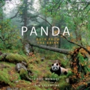 Image for Panda  : back from the brink