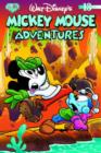 Image for Mickey Mouse Adventures : v.13