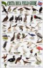Image for Birds of the Pacific Coast Tropical Rainforest: Osa Peninsula : Parque Nacional Corcovado, Drake Bay, Rio Sierpe, Isla Del Cano, Golfo Dulce