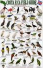 Image for Birds of Wetland Habitats : Cano Negro, Palo Verde and Tempisque Basin
