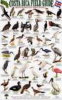 Image for Birds of the Pacific Coast and the Tropical Dry Forest
