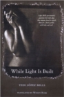 Image for While Light is Built