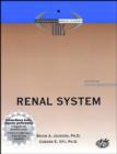 Image for Renal System
