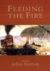 Image for Feeding the Fire