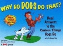 Image for Why do dogs do that?  : real answers to the curious things dogs do