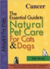 Image for Essential Guide to Natural Pet Care