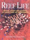 Image for Reef life
