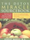 Image for The detox miracle sourcebook  : the ultimate healing system