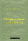 Image for Metamorphosis and Identity