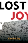Image for Lost Joy