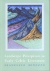 Image for Landscape perception in early Celtic literature