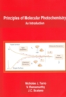 Image for Principles of molecular photochemistry  : an introduction