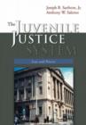 Image for The Juvenile Justice System : Law and Process