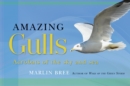 Image for Amazing Gulls