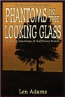 Image for Phantoms in the Looking Glass