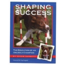Image for Shaping Success
