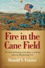 Image for Fire in the cane field  : the Federal invasion of Louisiana and Texas, January 1861 - January 1863