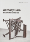 Image for Anthony Caro : Sculpture Laid Bare