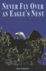 Image for Never Fly Over an Eagle&#39;s Nest