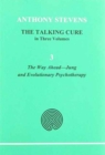 Image for The talking cureVolume 3 : Volume 3