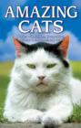 Image for Amazing Cats : Stories of Intuition, Compassion, Mystery &amp; Extraordinary Feats