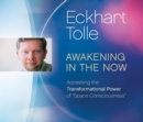 Image for Awakening in the Now