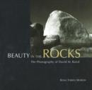 Image for Beauty in the Rocks : The Photography of David M. Baird