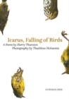 Image for Icarus, Falling of Birds